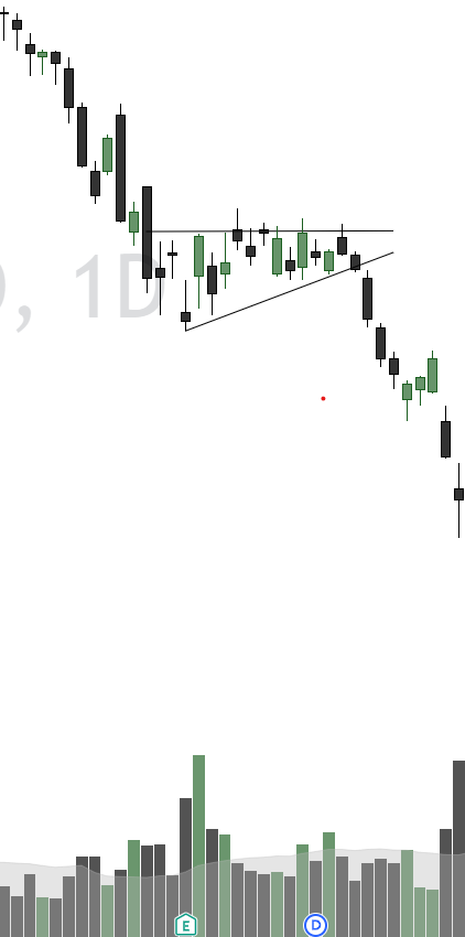 AVGO chart with a bear flag consolidating after a sharp decline
